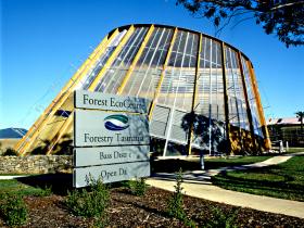 Forester TAS Phillip Island Accommodation