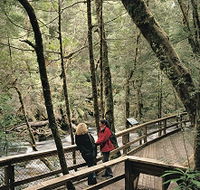 Franklin River Nature Trail - Phillip Island Accommodation