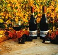 Craigow Vineyard - Phillip Island Accommodation