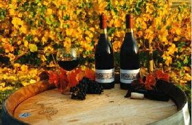 Craigow Vineyard - Phillip Island Accommodation 0