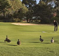 Royal Hobart Golf Club - Phillip Island Accommodation