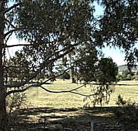 Cygnet Public Golf Course - Phillip Island Accommodation