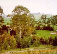 The Tasmanian Arboretum - Phillip Island Accommodation