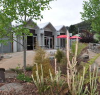 Tin Dragon Interpretation Centre and Cafe - Phillip Island Accommodation