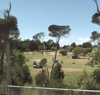 Greens Beach Golf Course - Phillip Island Accommodation