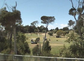 Greens Beach Golf Course - Phillip Island Accommodation 0