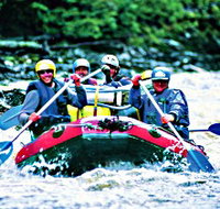 Franklin - Gordon Wild Rivers National Park - Phillip Island Accommodation