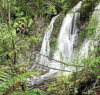 Hogarth Falls - Phillip Island Accommodation