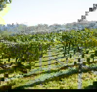 Surveyor's Hill Vineyards - Phillip Island Accommodation