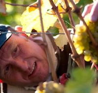 Puddleduck Vineyard - Phillip Island Accommodation