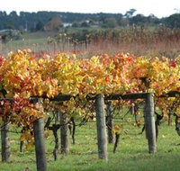 Apsley Gorge Vineyard - Phillip Island Accommodation