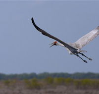 Gayngaru Wetlands Interpretive Walk - Phillip Island Accommodation