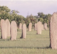 Magnetic Termite Mounds - Phillip Island Accommodation