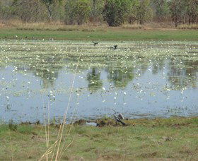 Leaning Tree Lagoon Nature Park - Phillip Island Accommodation 0