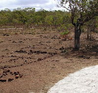 Wurrwurrwuy Garanhan Macassan Beach Interpretive Walk - Phillip Island Accommodation