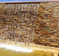 Howard Springs Nature Park - Phillip Island Accommodation