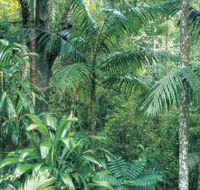 Westside Track Maiala - Phillip Island Accommodation