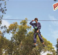 Adventure Parc at Currumbin Wildlife Sanctuary - Phillip Island Accommodation