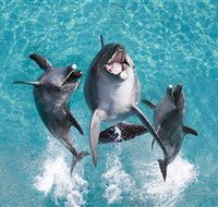 Sea World - Phillip Island Accommodation