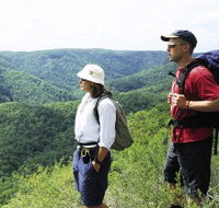 Sunshine Coast Hinterland Great Walk - Phillip Island Accommodation