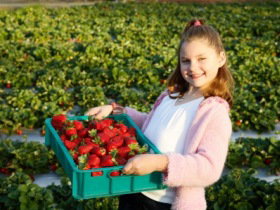  Phillip Island Accommodation