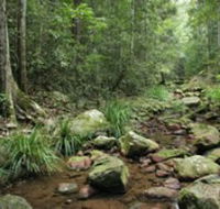 Amamoor State Forest - Phillip Island Accommodation