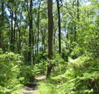 Mapleton Falls National Park - Phillip Island Accommodation