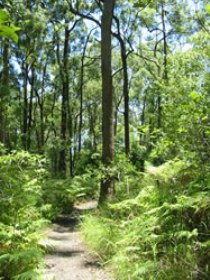 Mapleton Falls National Park - Phillip Island Accommodation 0