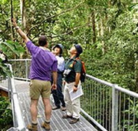 Daintree Discovery Centre - Phillip Island Accommodation