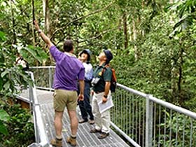 Daintree Discovery Centre - Phillip Island Accommodation 0