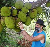 Cape Trib Exotic Fruit Farm - Phillip Island Accommodation