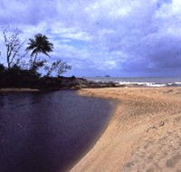 Russell River National Park - Phillip Island Accommodation