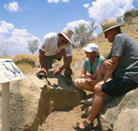 Riversleigh Fossil Fields - Phillip Island Accommodation