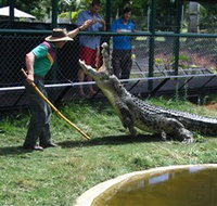 Snakes Downunder Reptile Park and Zoo - Phillip Island Accommodation