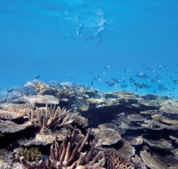 Australian Institute of Marine Science - Phillip Island Accommodation
