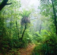 Lamington National Park Green Mountains Section - Phillip Island Accommodation