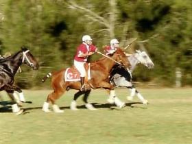 The Hermitage QLD Phillip Island Accommodation