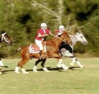 Morgan Park - Phillip Island Accommodation