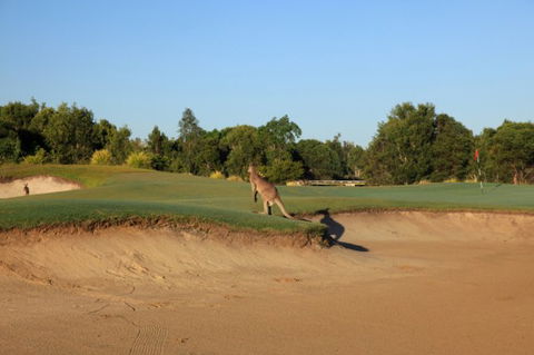 Pelican Waters Golf Club - Phillip Island Accommodation 6