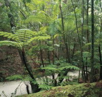 Fraser Island Great Walk - Phillip Island Accommodation