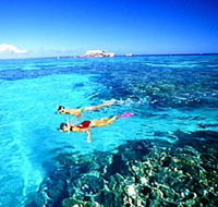 Great Barrier Reef Islands - Phillip Island Accommodation