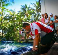 The Living Reef on Daydream Island - Phillip Island Accommodation