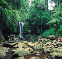 Tamborine National Park - Phillip Island Accommodation