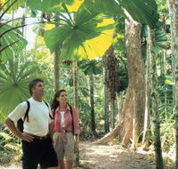 Licuala State Forest - Phillip Island Accommodation