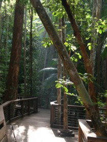 Basin Lake Track - Phillip Island Accommodation 0