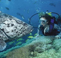Pelorus Island - Phillip Island Accommodation