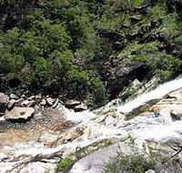 Dinden National Park - Phillip Island Accommodation