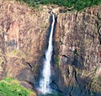 Buujan Quiinbiira Walk Wet Tropics Great Walk - Phillip Island Accommodation