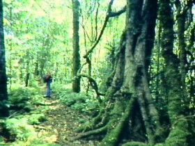 Aratula Primary QLD Phillip Island Accommodation