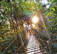 Tree Top Walkway - Phillip Island Accommodation